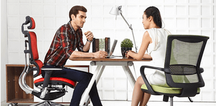 Caster Wheeled Mesh Office Chair