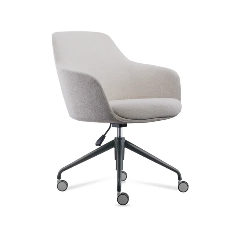 Mauri Meeting Chair