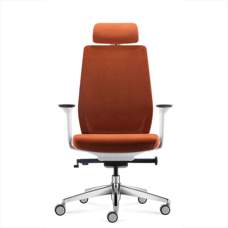 Riikka Full-Function Ergonomic Chair