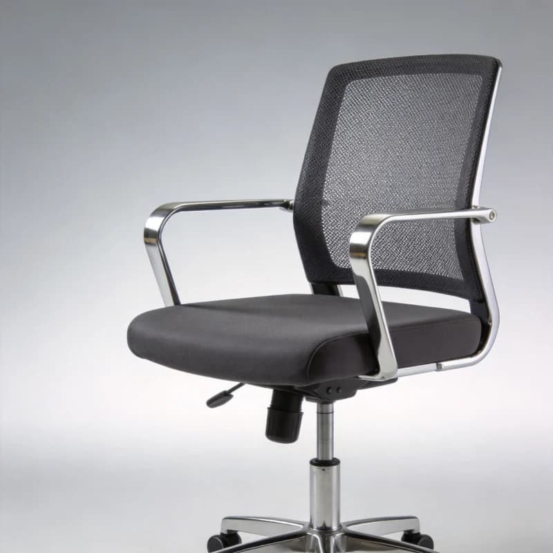 Poly Ergonomic Chair