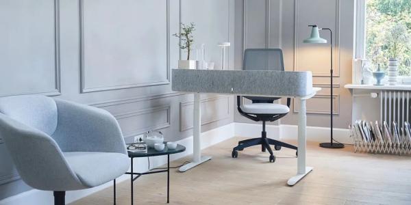 Electric Sit-Stand Desk S5 by Wenfan x Wenyi