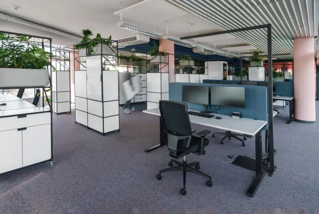 Workstation cluster with acoustic partition walls